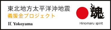 東北地方太平洋沖地震 義援金プロジェクト